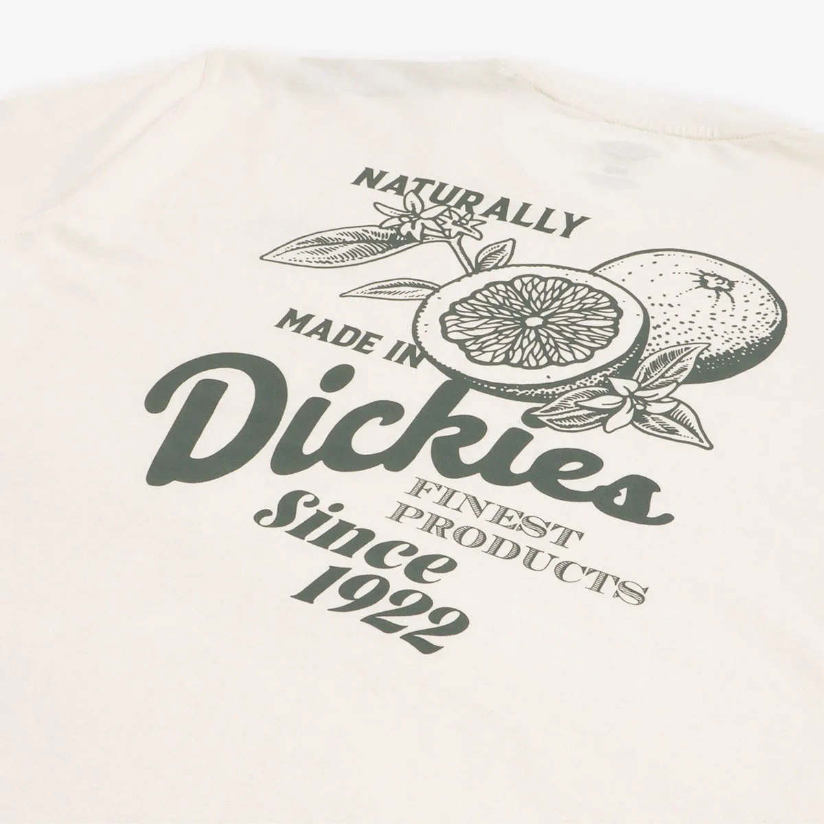 Dickies Raven T-Shirt