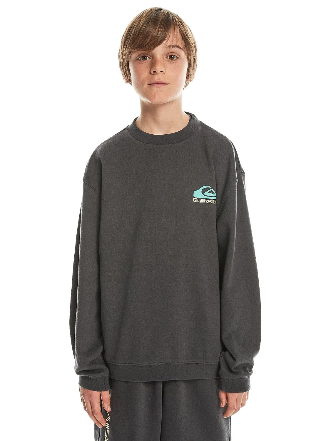 Quiksilver Boys Take Us Back Crew Sweater