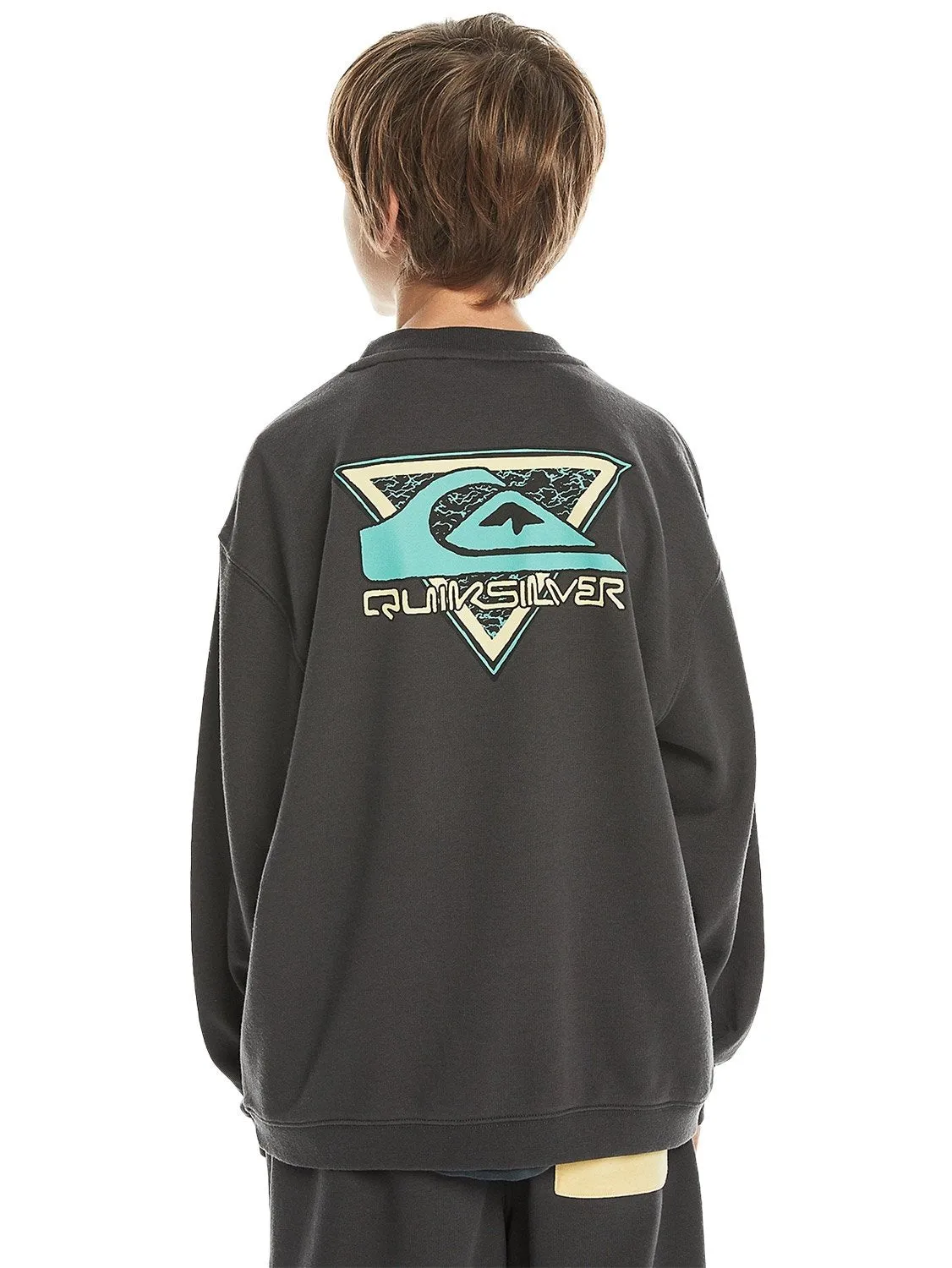 Quiksilver Boys Take Us Back Crew Sweater